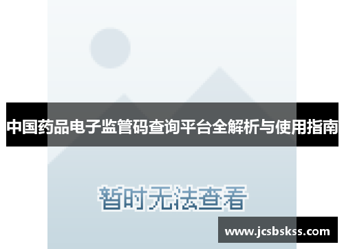 中国药品电子监管码查询平台全解析与使用指南
