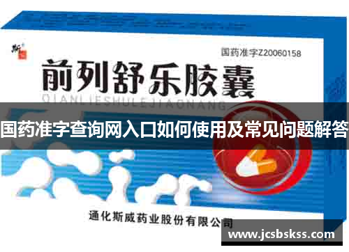 国药准字查询网入口如何使用及常见问题解答