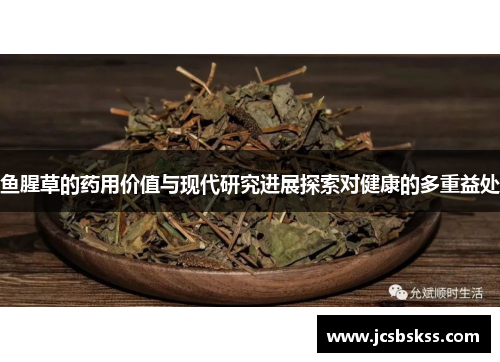 鱼腥草的药用价值与现代研究进展探索对健康的多重益处