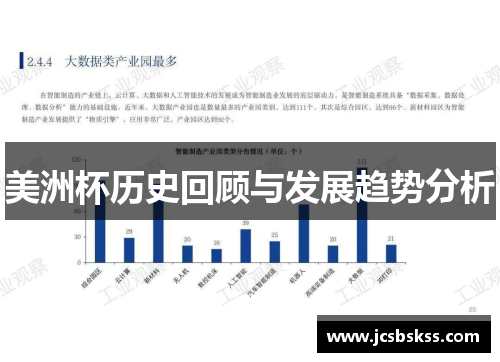 美洲杯历史回顾与发展趋势分析